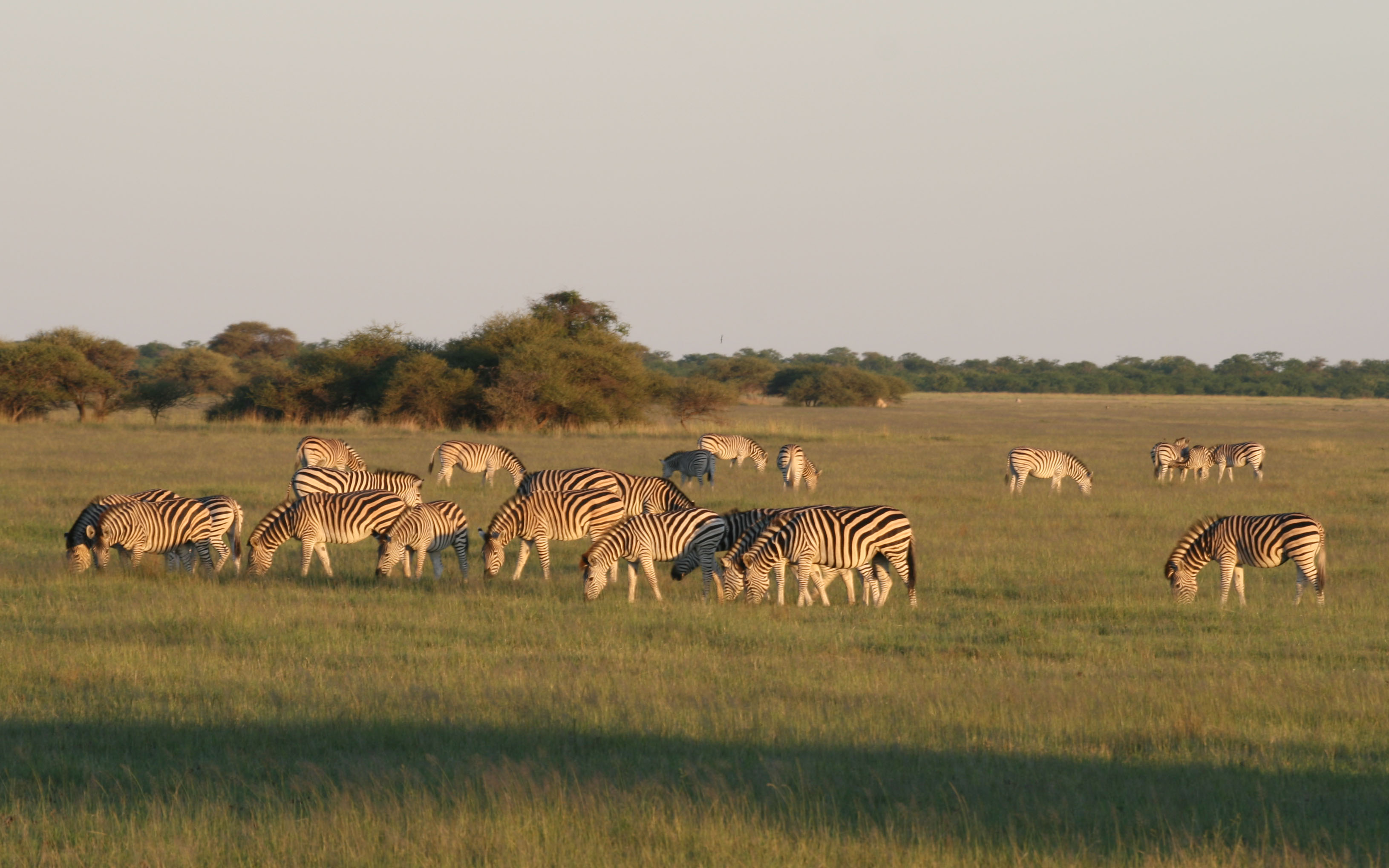 Nxai Pan National Park
