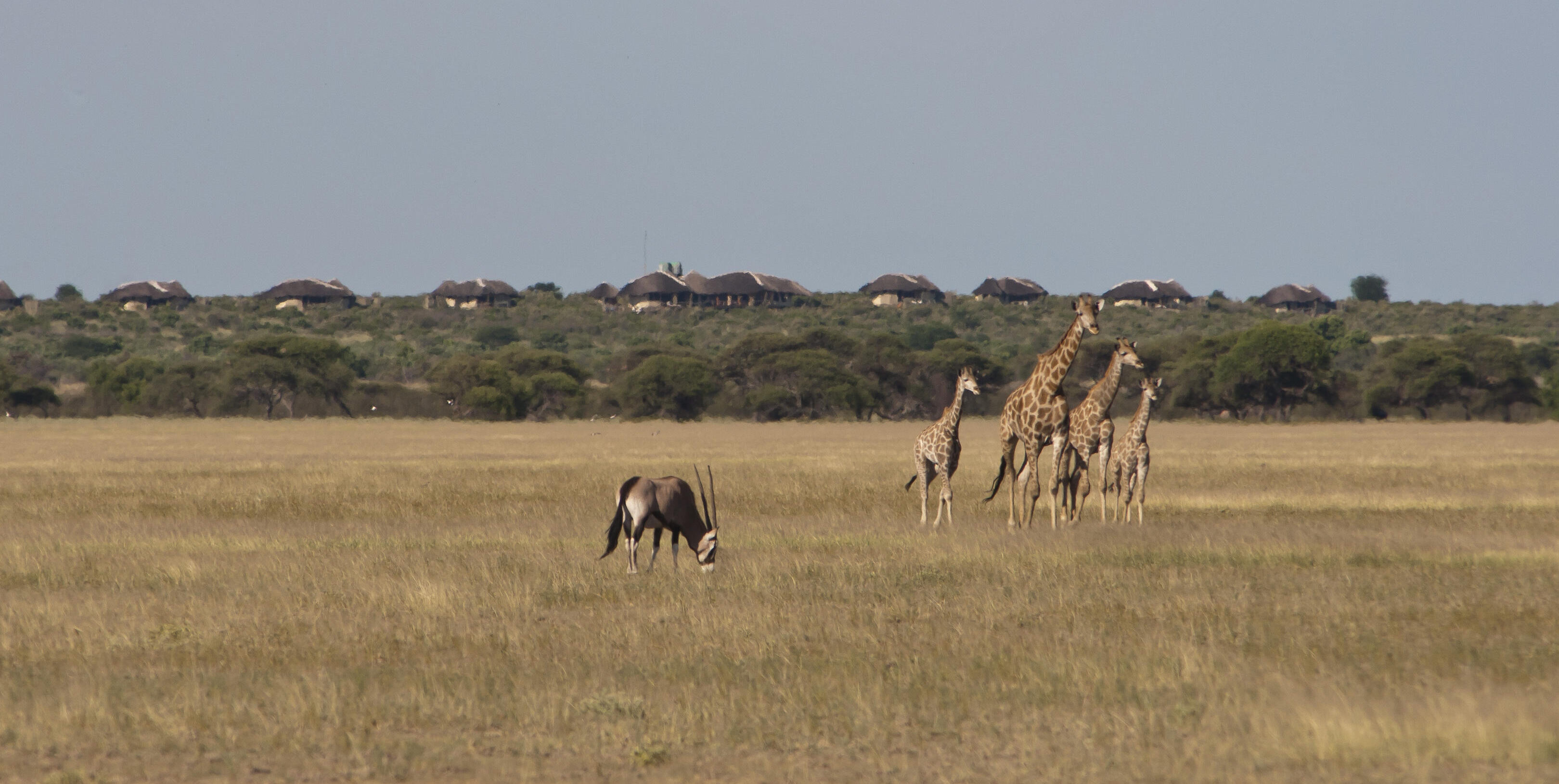 Kalahari and Okavango Delta