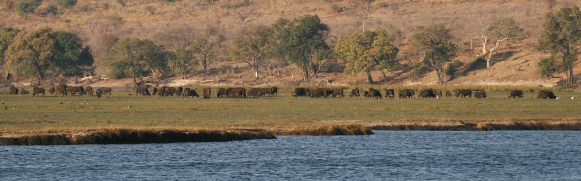 Chobe River Front