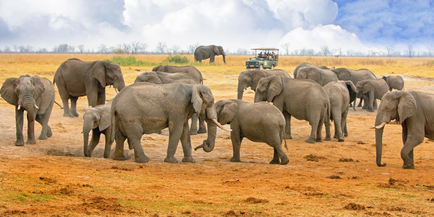 Hwange National Park