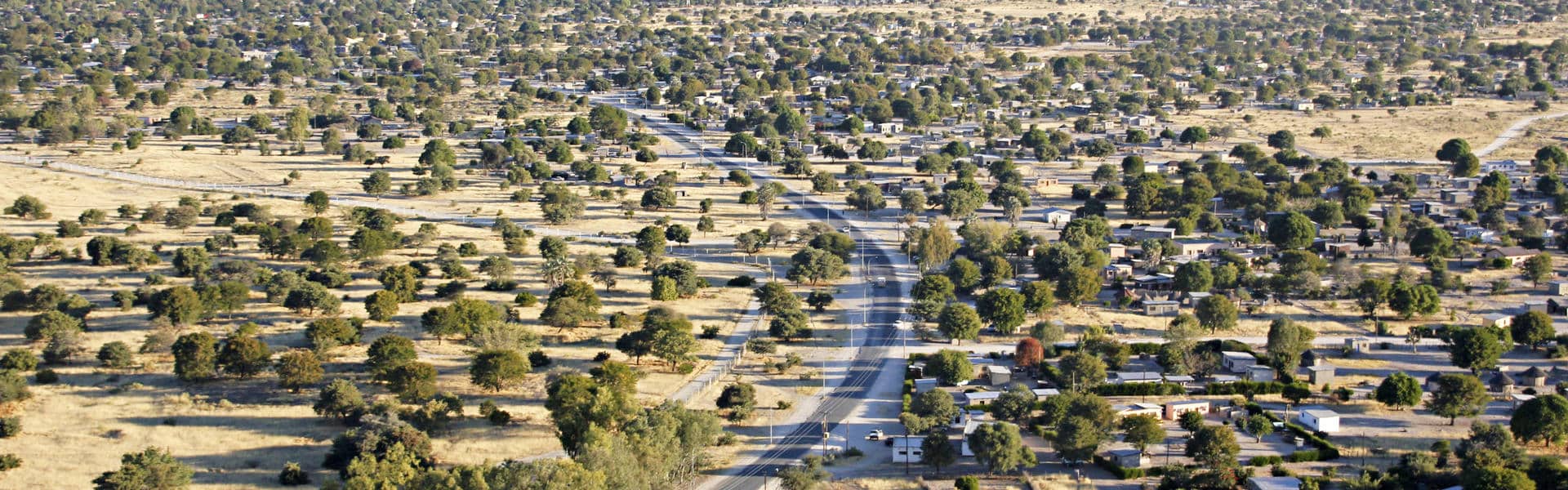 Maun