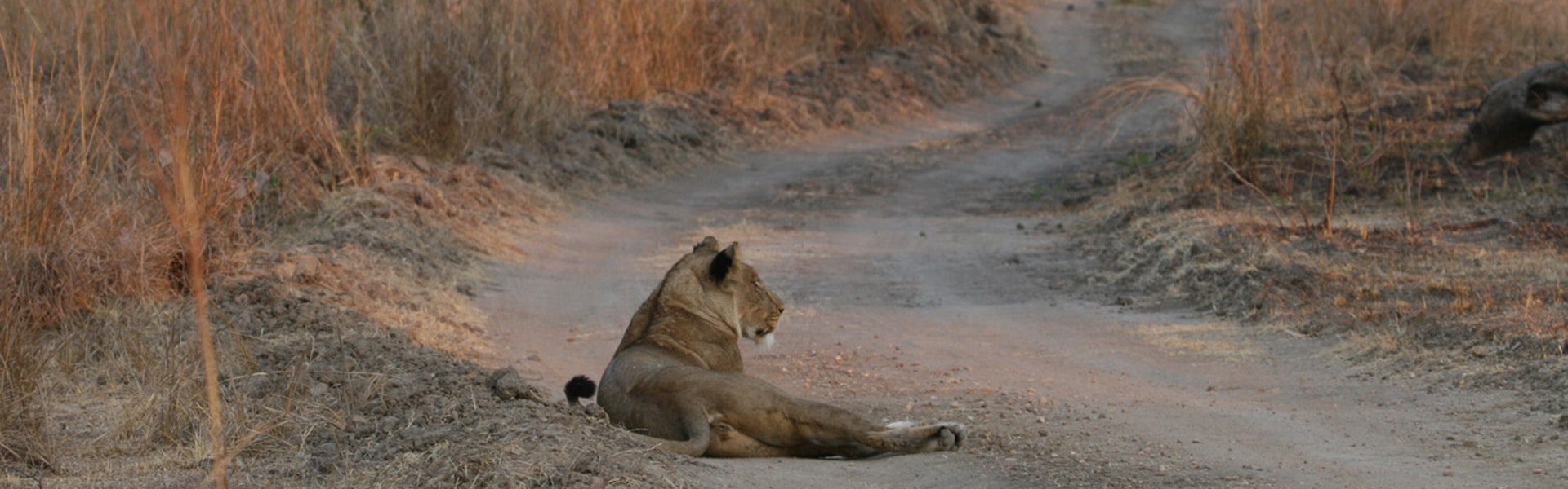 Kafue National Park