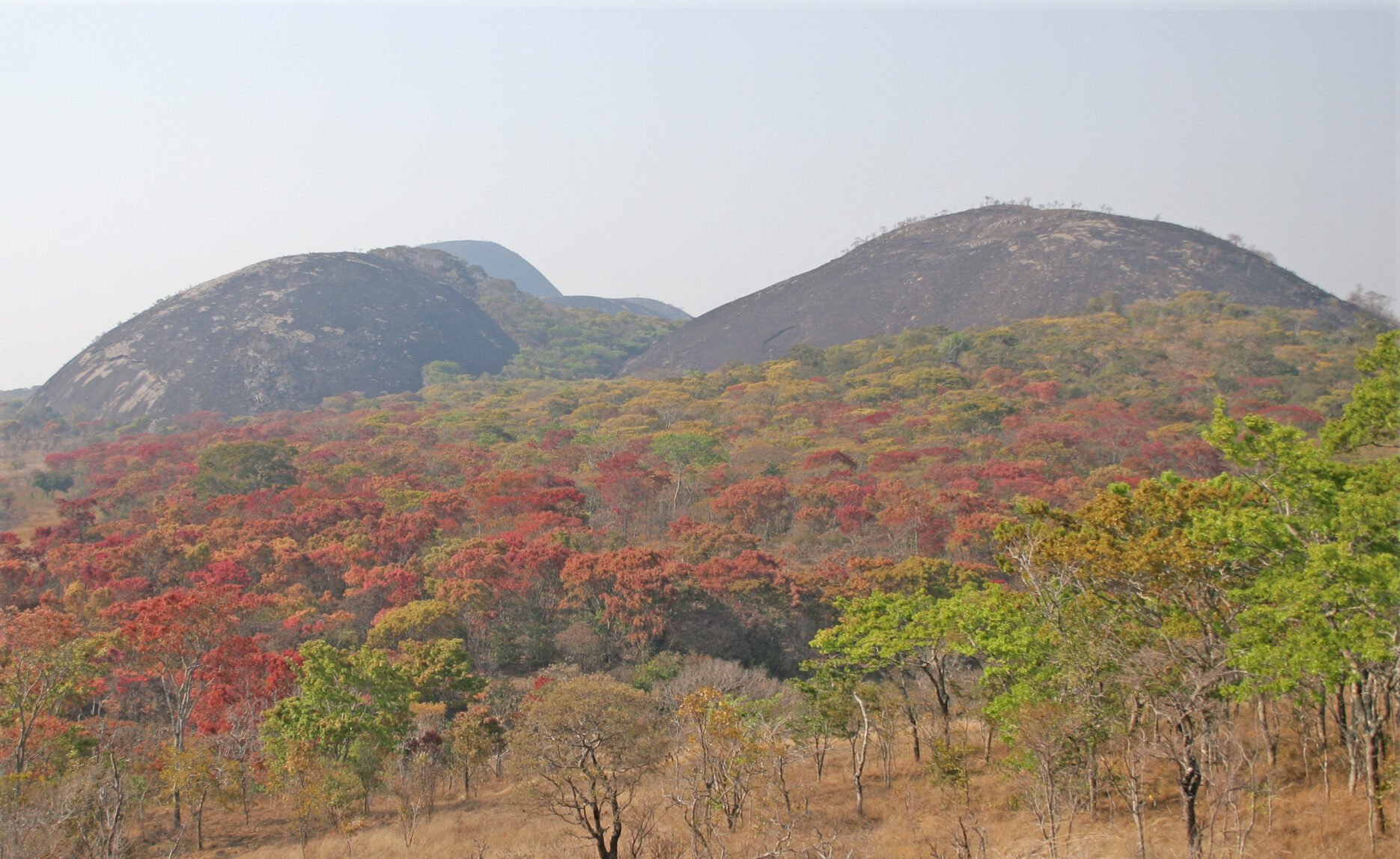 Mutinondo Wilderness