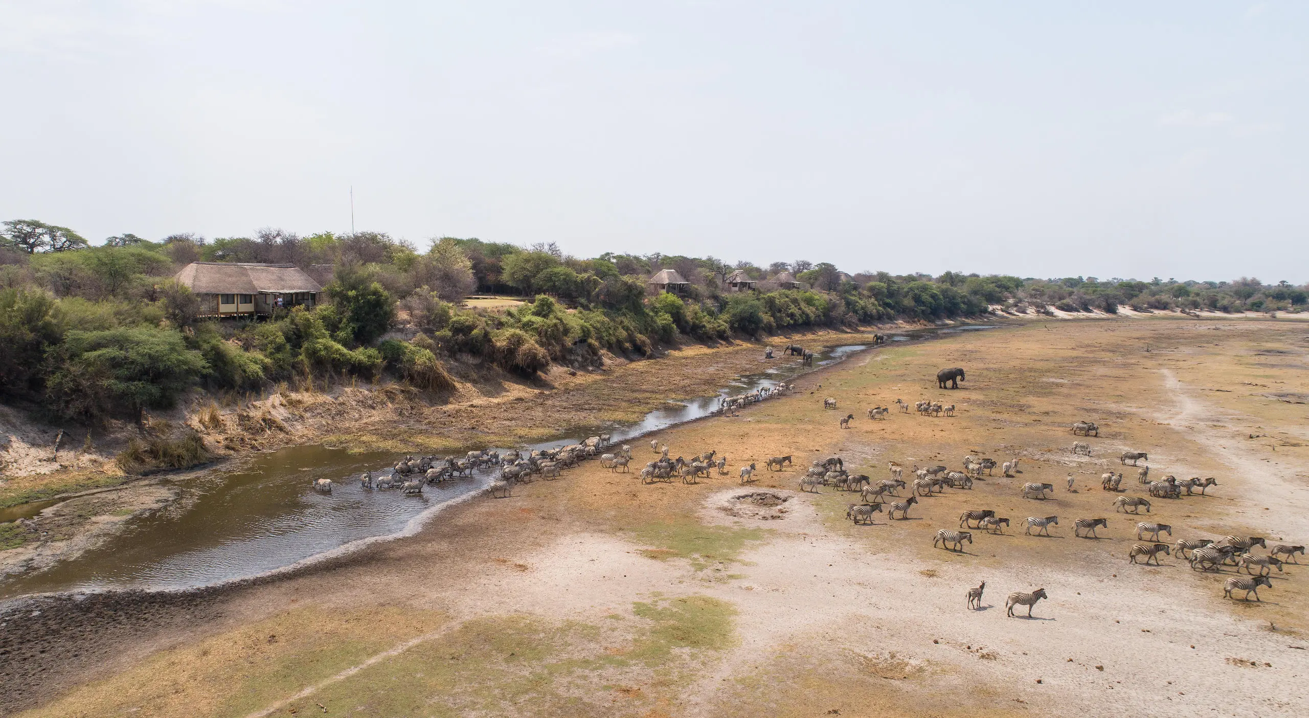 Boteti – Makgadikgadi Pans NP
