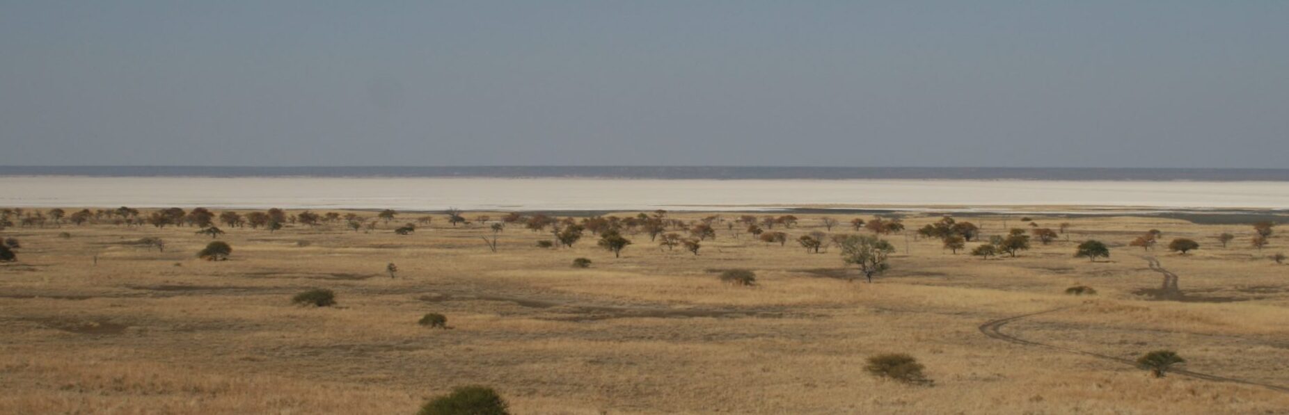 Makgadikgadi Salt Pans
