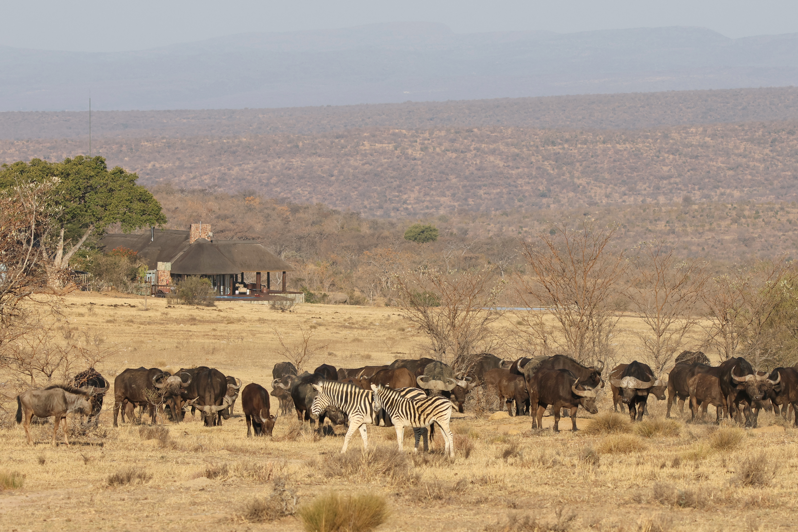 Welgevonden Game Reserve