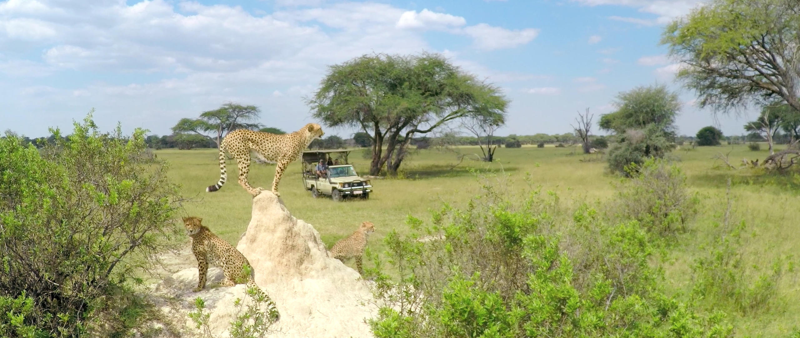 Hwange, Matusadona & Mana Pools Fly-in