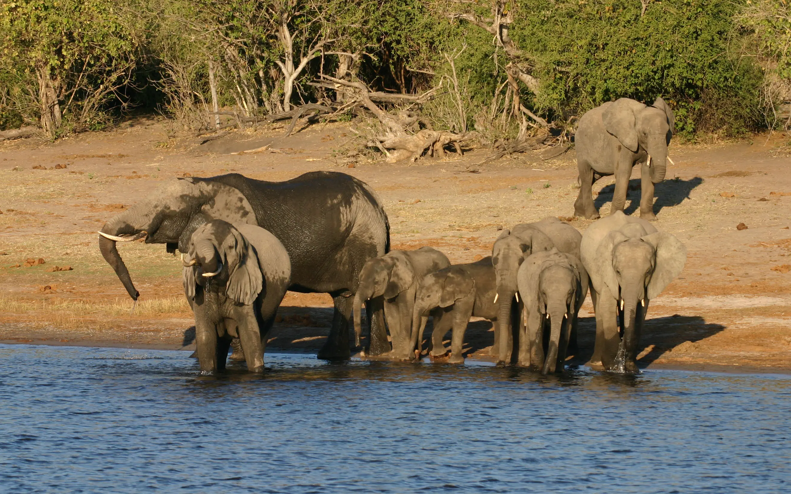 Extended Namibia & Botswana Itinerary