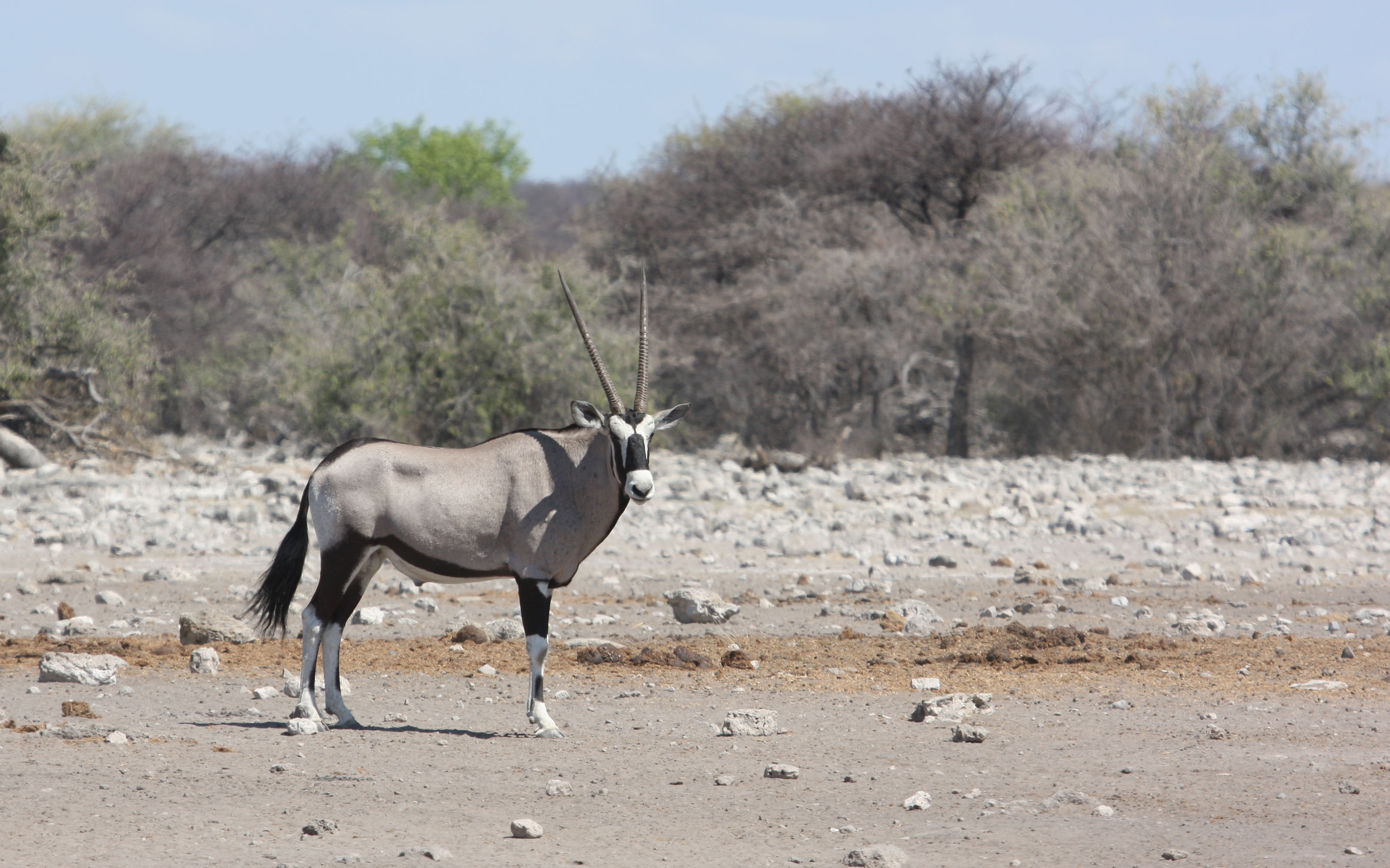 Etosha National Park