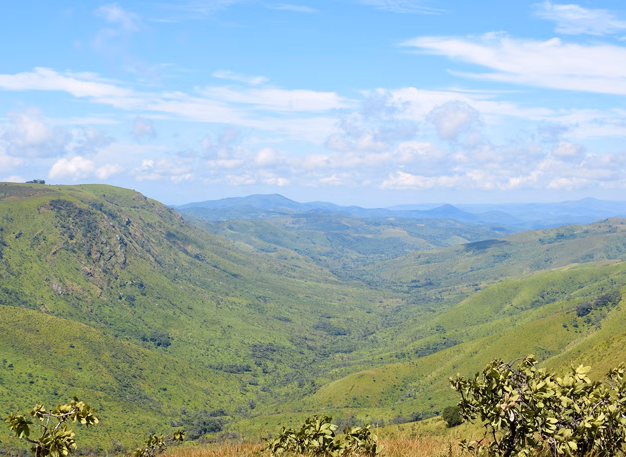 Viphya Mountains