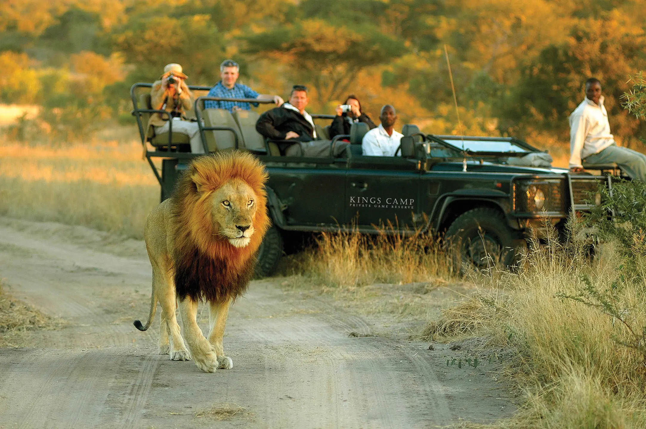 Greater Kruger Safari